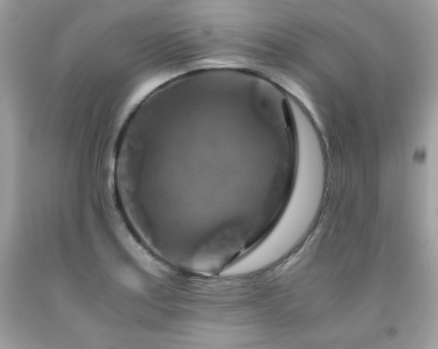 X0000091921179200709121532