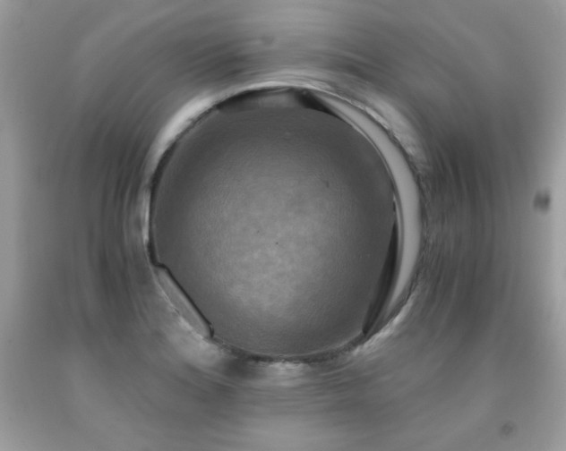 X0000091921180200709121532