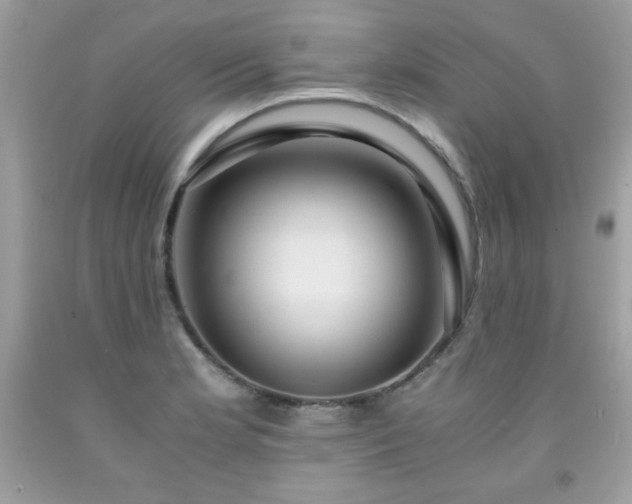 X0000091921181200709121532