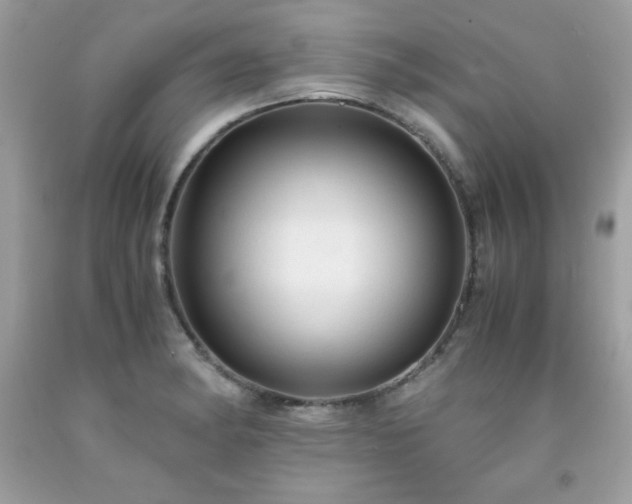 X0000091921182200709121532