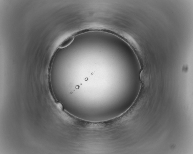 X0000091921183200709121532