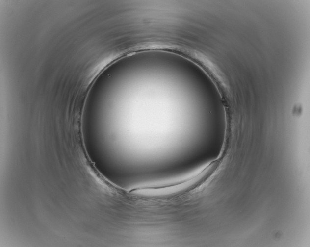 X0000091921185200709121532