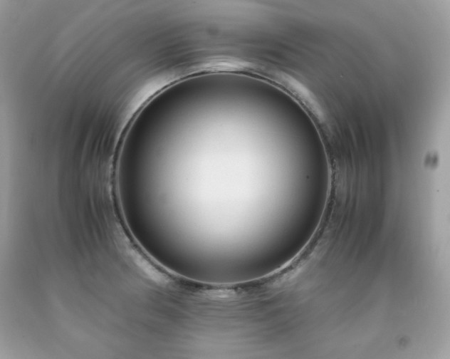 X0000091921186200709121532