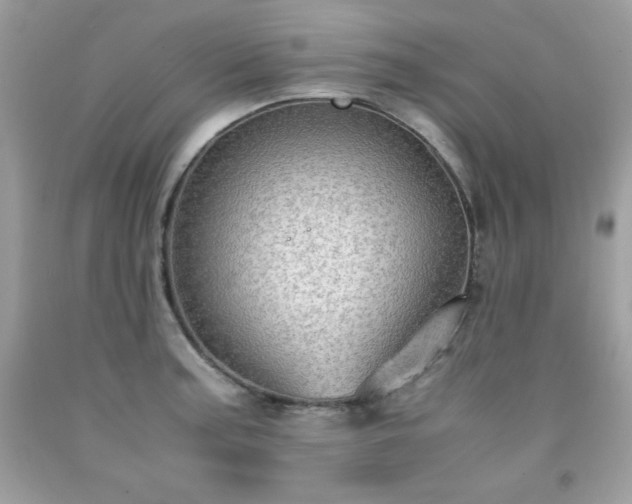 X0000091921187200709121532