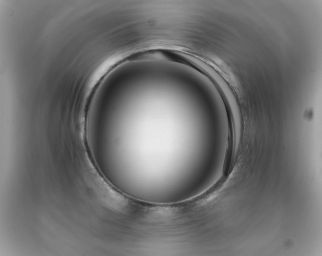 X0000091921188200709121532