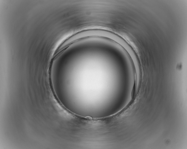 X0000091921189200709121532