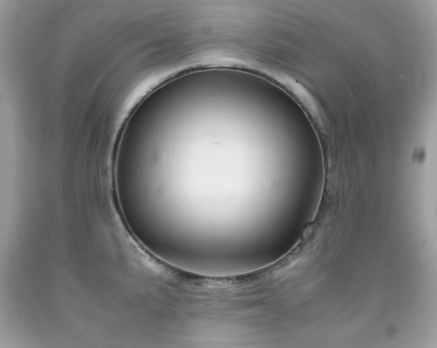 X0000091921191200709121532