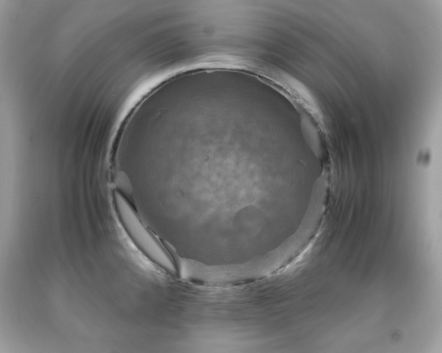 X0000091921192200709121532