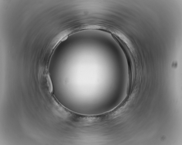 X0000091921193200709121532