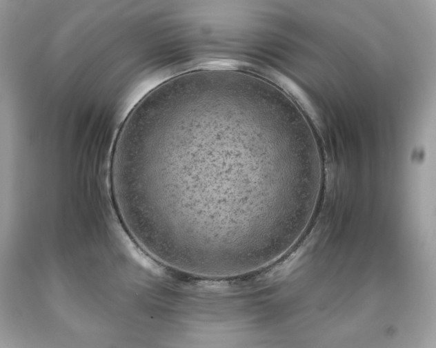 X0000091921194200709121532