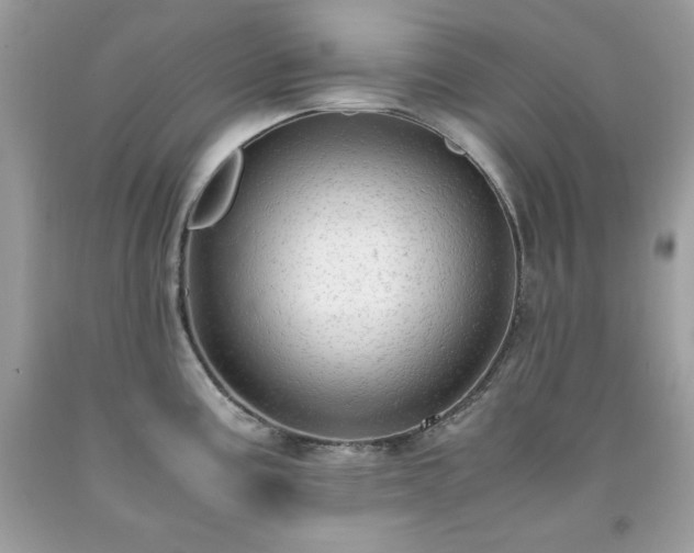 X0000091921195200709121532
