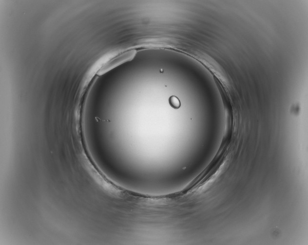 X0000091921196200709121532