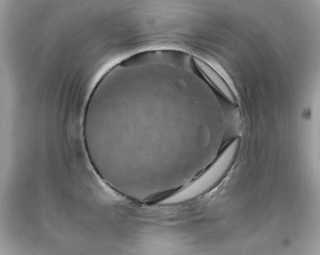 X0000091921197200709121532