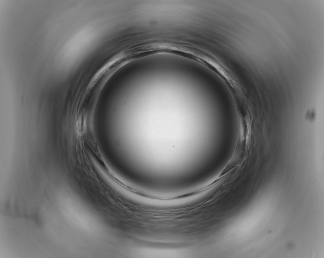 X0000091921198200709121532