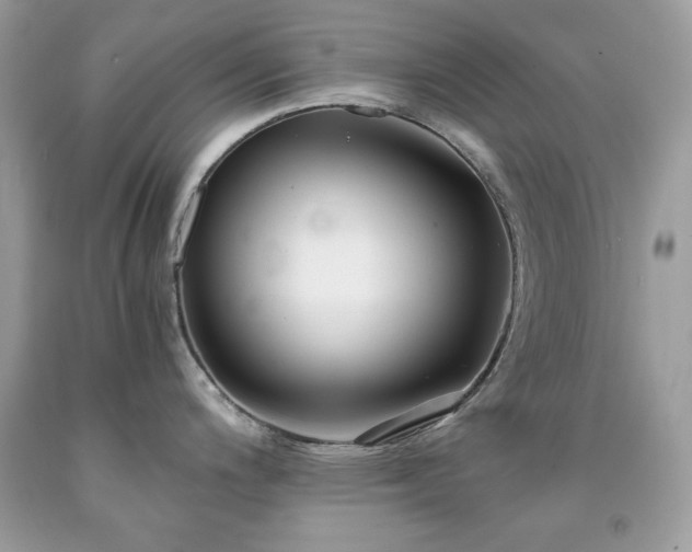 X0000091921200200709121532