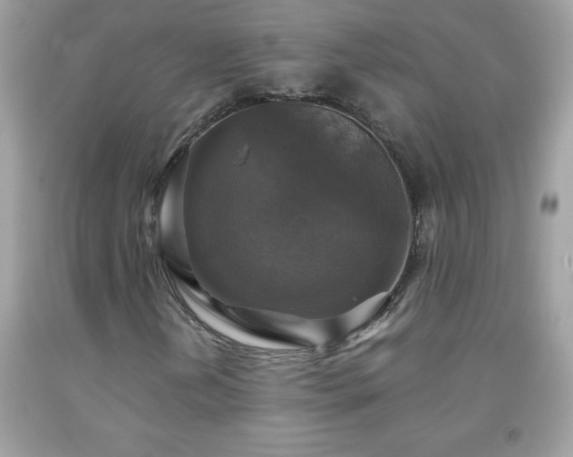X0000091921202200709121531