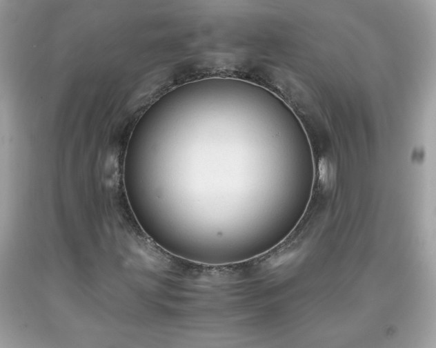 X0000091921203200709121531