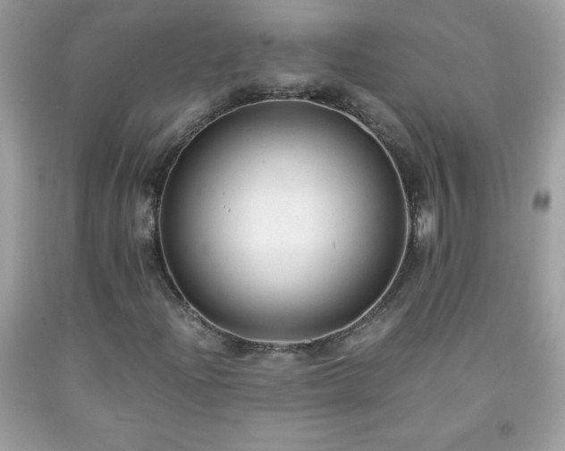 X0000091921204200709121531
