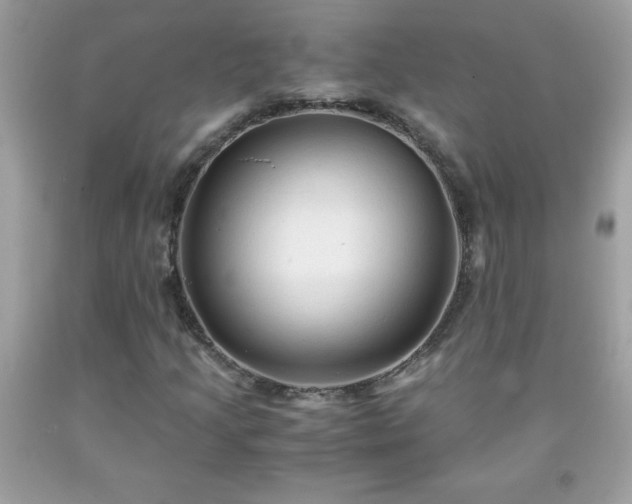 X0000091921205200709121531