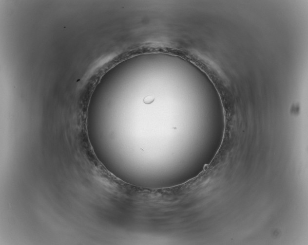 X0000091921207200709121531
