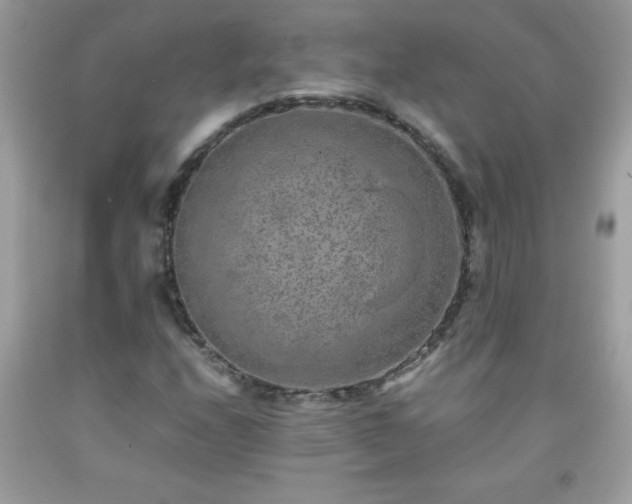 X0000091921208200709121532