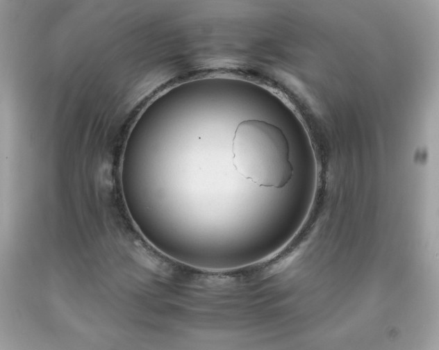 X0000091921209200709121532