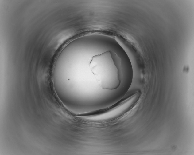 X0000091921210200709121532