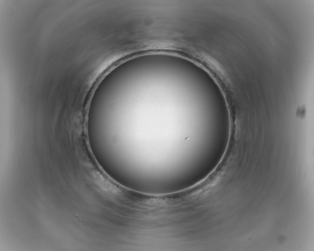 X0000091921212200709121532
