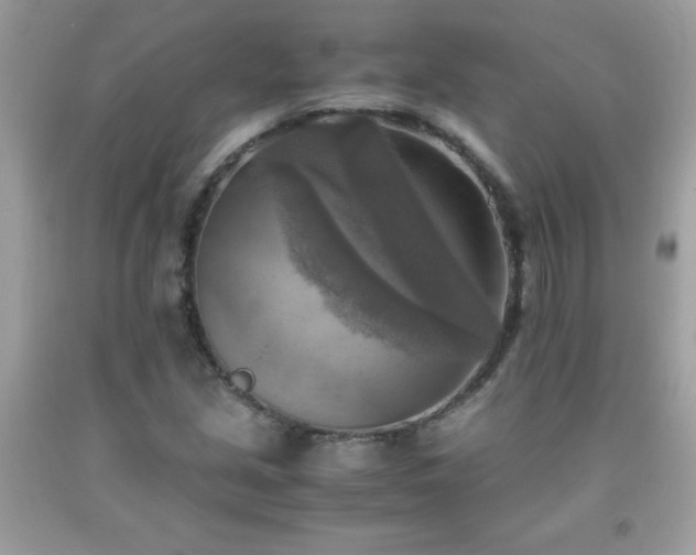 X0000091921213200709121532