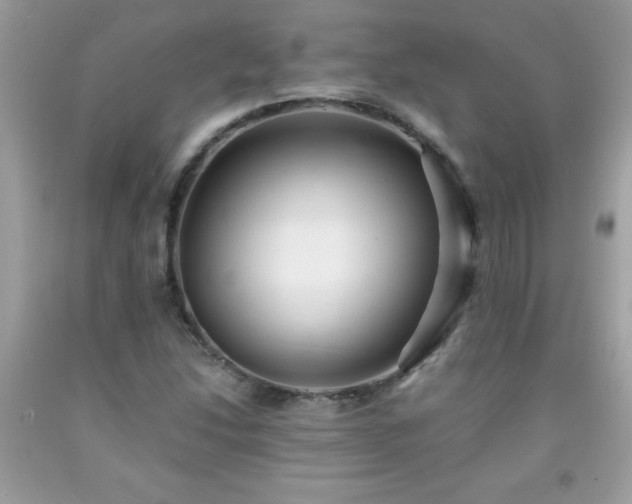 X0000091921214200709121532