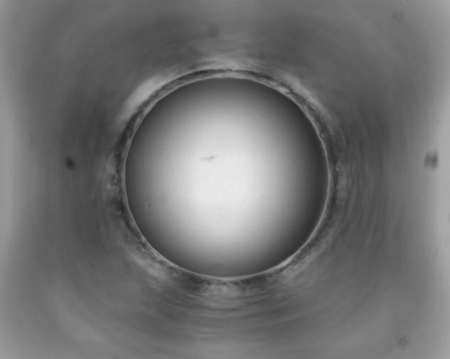 X0000091921215200709121532