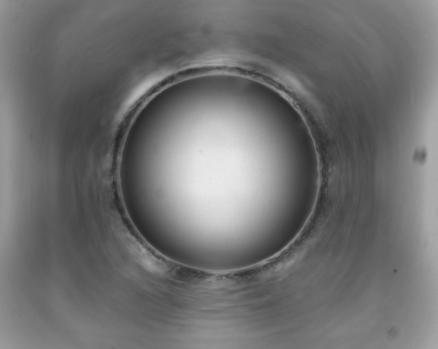 X0000091921216200709121532