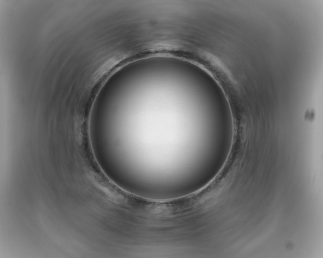 X0000091921217200709121532
