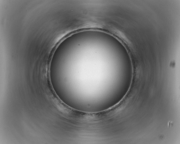 X0000091921220200709121532