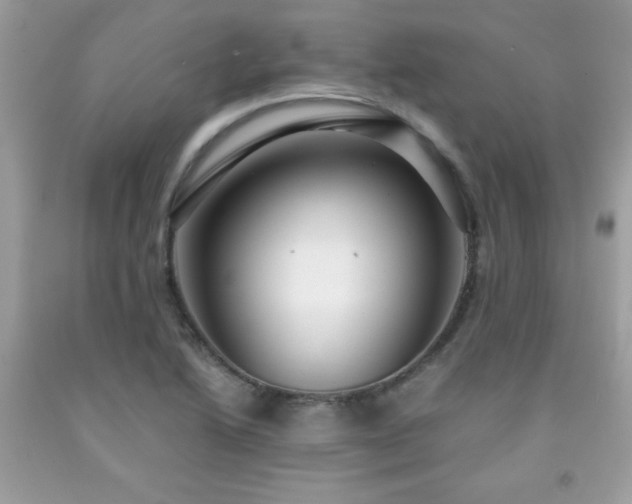 X0000091921222200709121532