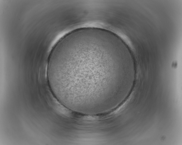 X0000091921224200709121532