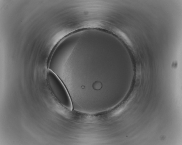 X0000091921226200709121532