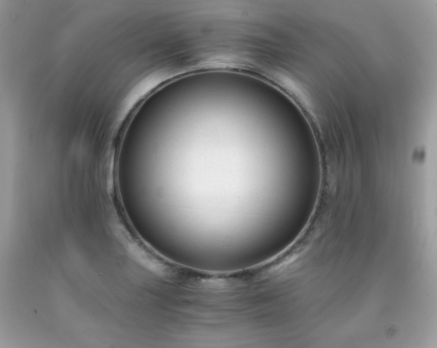 X0000091921227200709121532