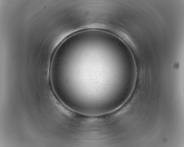 X0000091921228200709121532