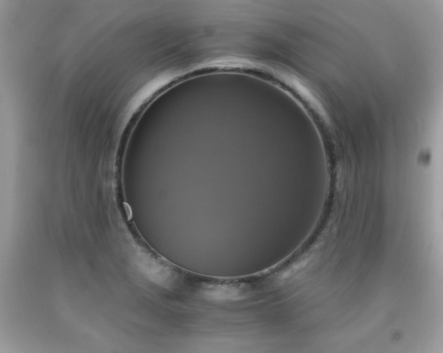 X0000091921229200709121532