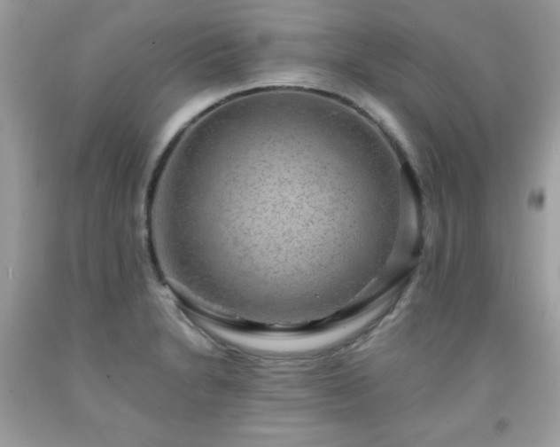X0000091921230200709121532