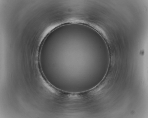 X0000091921231200709121532