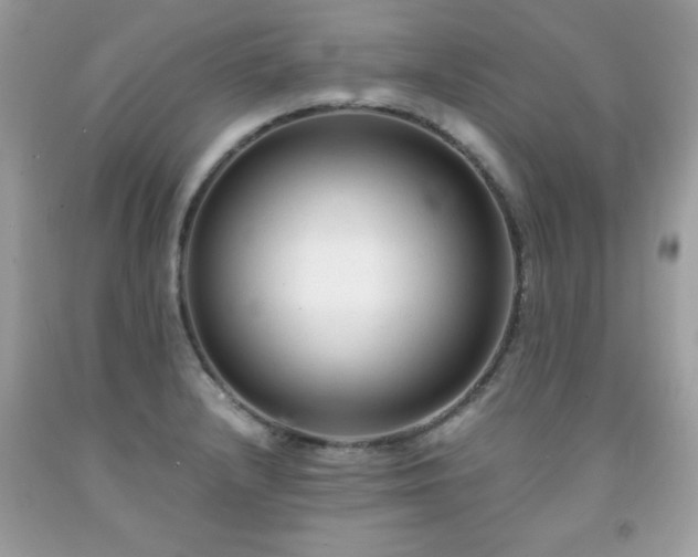 X0000091921232200709121532