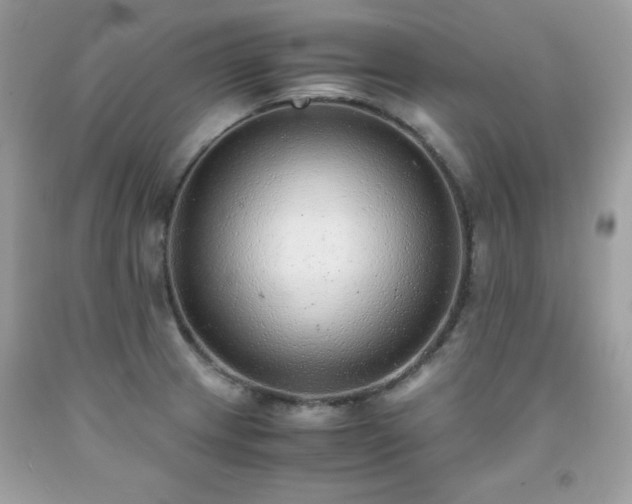X0000091921233200709121532