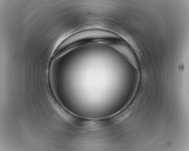 X0000091921234200709121532