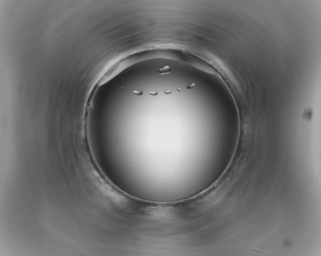 X0000091921236200709121532