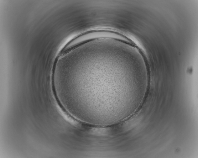 X0000091921237200709121532