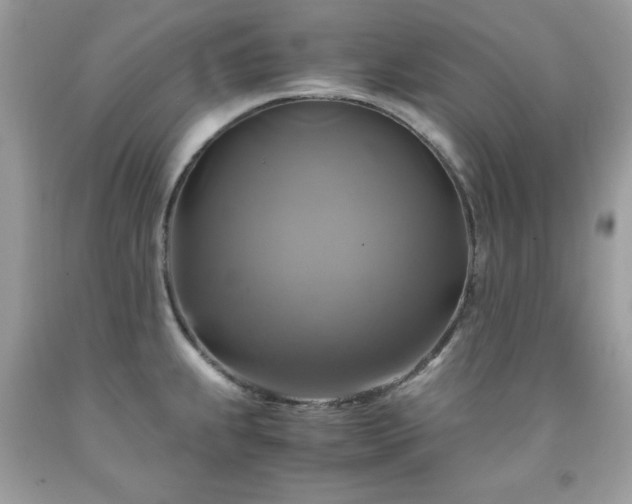 X0000091921239200709121532