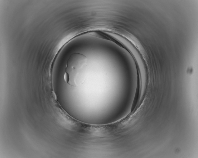 X0000091921242200709121532