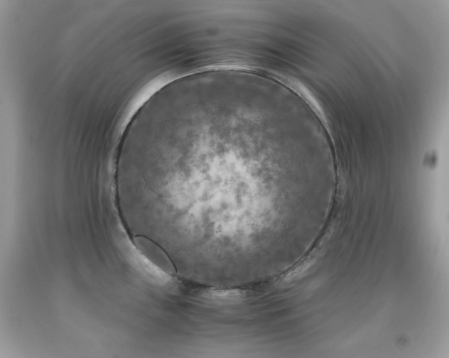 X0000091921243200709121532